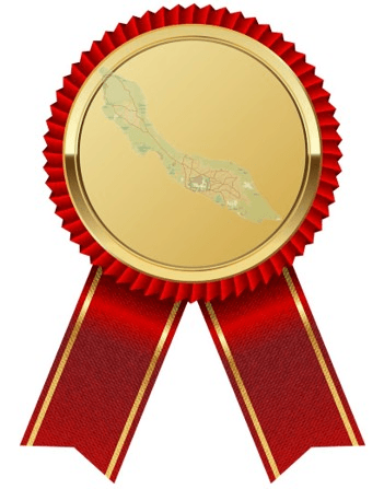 Gold medal